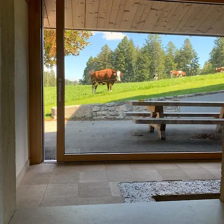 Renovated Mountain Farm With Hot Tub